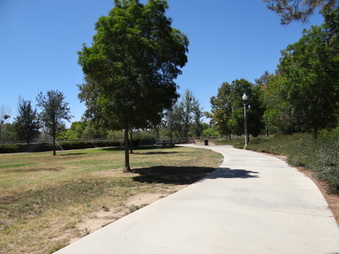Enlarge photo 15