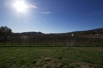 Enlarge photo 34