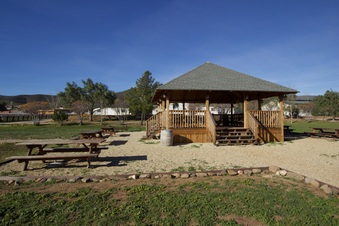 Enlarge photo 80