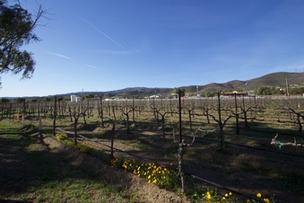 Enlarge photo 85
