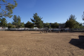 Enlarge photo 88