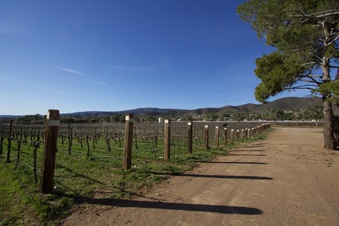 Enlarge photo 91