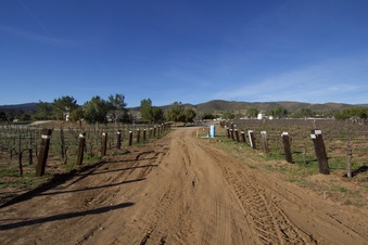 Enlarge photo 106