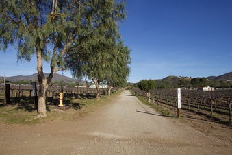 Enlarge photo 107