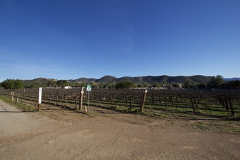 Enlarge photo 108
