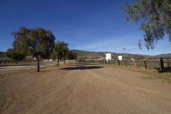 Enlarge photo 109