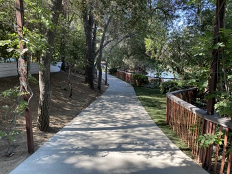 Enlarge photo 206