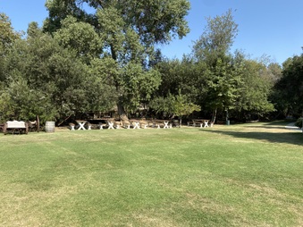 Enlarge photo 202