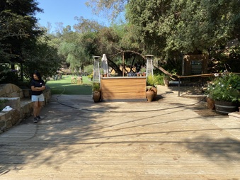 Enlarge photo 154