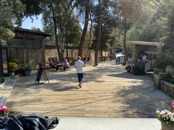 Enlarge photo 151