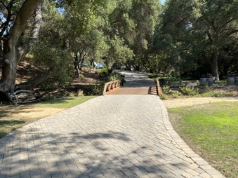 Enlarge photo 46