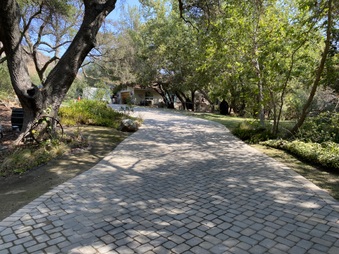 Enlarge photo 47