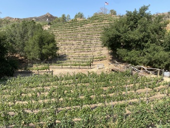 Enlarge photo 82