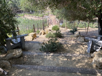 Enlarge photo 84