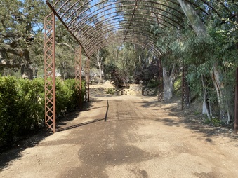 Enlarge photo 90
