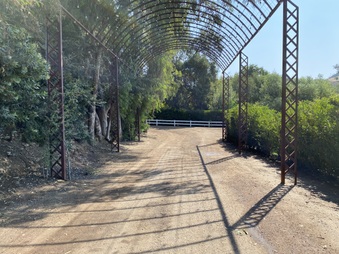 Enlarge photo 41