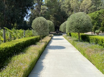 Enlarge photo 3