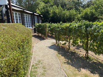 Enlarge photo 19