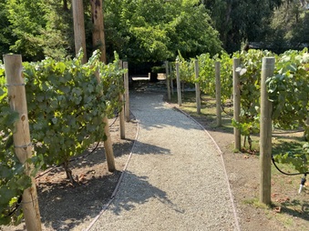 Enlarge photo 21
