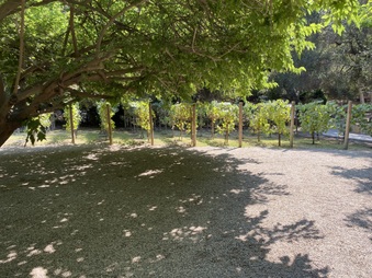 Enlarge photo 17