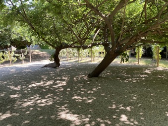 Enlarge photo 18