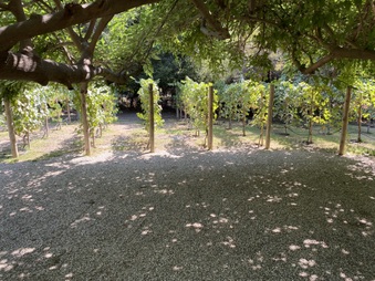 Enlarge photo 14