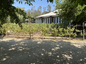 Enlarge photo 15