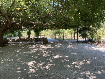 Enlarge photo 16
