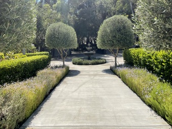 Enlarge photo 9
