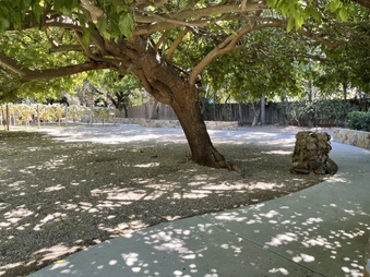Enlarge photo 14