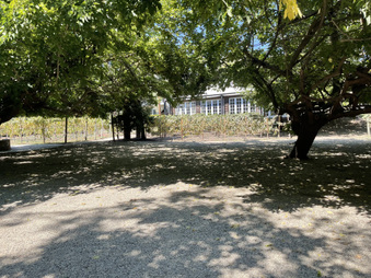 Enlarge photo 17