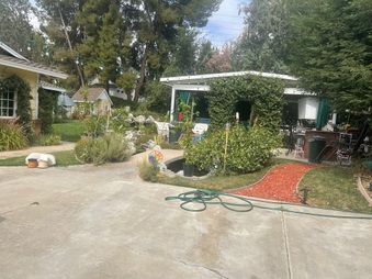 Enlarge photo 16