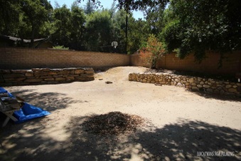 Enlarge photo 13