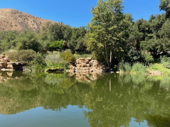 Enlarge photo 21