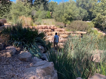Enlarge photo 22