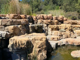 Enlarge photo 24