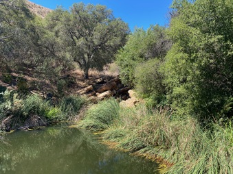 Enlarge photo 25