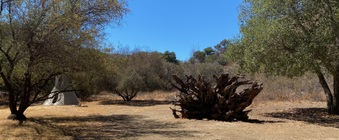 Enlarge photo 26