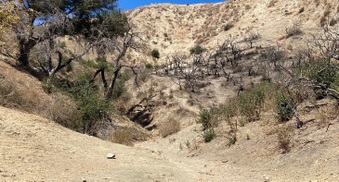 Enlarge photo 28