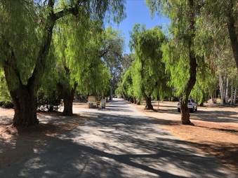 Brandeis-Bardin Campus