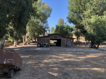 Enlarge photo 33