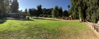 Enlarge photo 36