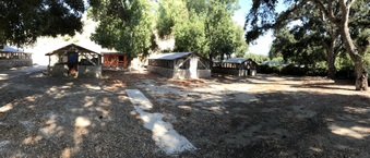 Enlarge photo 45