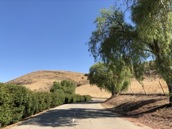 Enlarge photo 49
