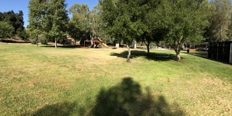 Enlarge photo 39