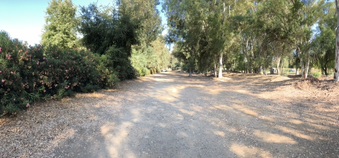 Enlarge photo 43