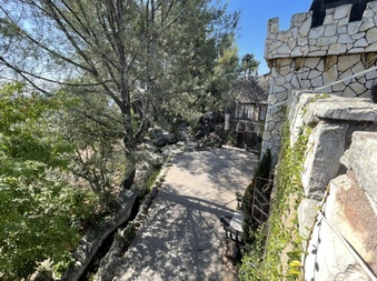 Enlarge photo 70