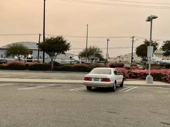 Enlarge photo 31