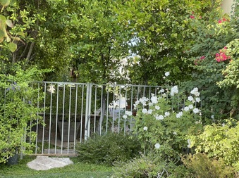 Enlarge photo 13