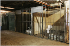 Jail Cell